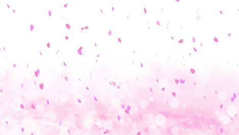 colorful bright petals swinging in spring background with sun flares. beautiful nature scene. illustration cherry blossom petals. abstract spring graphic. loop animation.