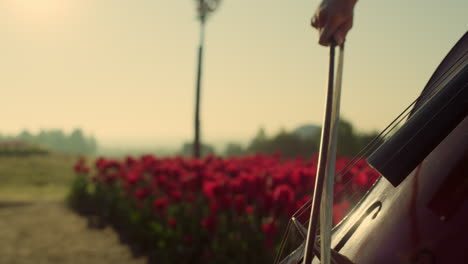 closeup strings with bow in woman hands. passionate girl playing cello outdoors.