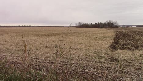 timelapse of a tractor working up a field on an overcast fall day after the crop has been harvested