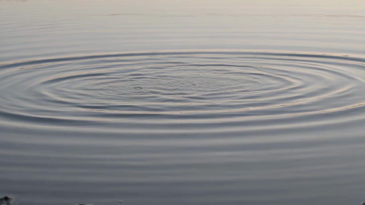 Creando increspature su uno stagno, un impulso invia onde verso l'esterno, con l'energia che svanisce verso la riva e i detriti nell'angolo.
