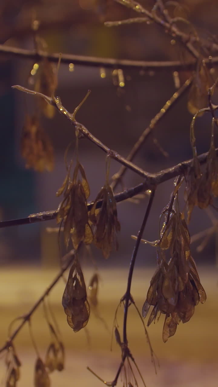 겨울 동안 밤에 지나가는 트럭, 건조한 잎이 바람에 부드럽게 날아다니며, 밝은 배경은 부드러운 반이는 불빛과 눈으로 인 도시 주변을 특징으로합니다.