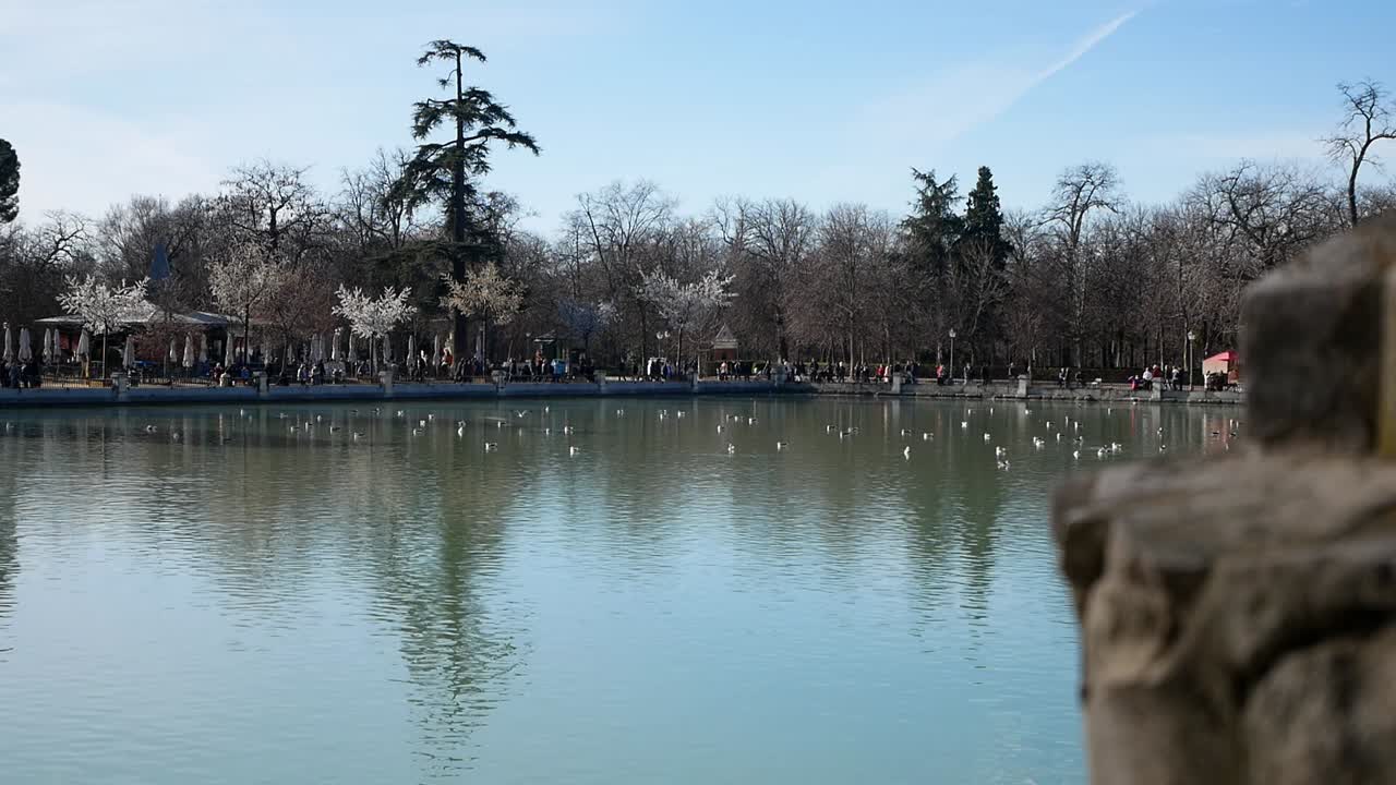 estanque grande en el parque del retiro, madrid