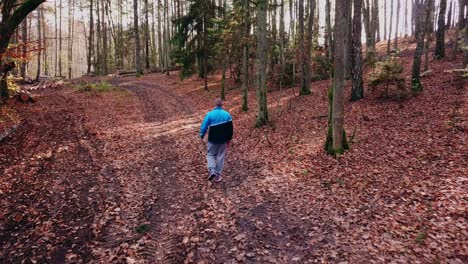 Junger-Mann-Zu-Fuß-Durch-Einen-Wald-In-Herbstlandschaft