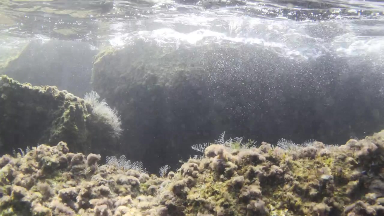 Rocks covered with marine algae forming an underwater seascape with sunrays filtering through the water surface