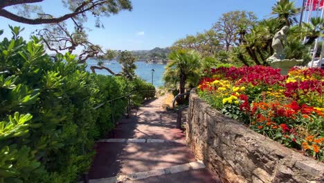 Colorful-Flowers-Near-Plage-des-Fourmis-Beach-In