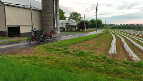 Aerial-tracking-shot-of-Amish-horse-and-buggy-passing-farm