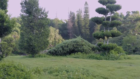 reveal forward shot of japanese garden in santo domingo city