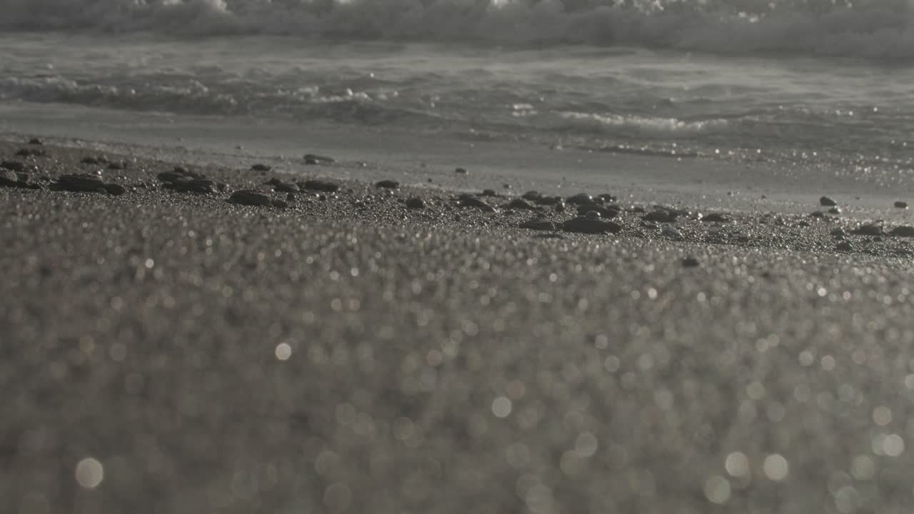 새끼 해조류의 이 어나오면서 모래 해변을 따라 코스타리카 바다로 내려갑니다.