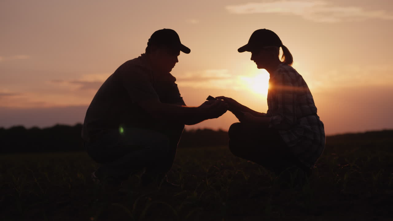 los granjeros trabajan en el campo hasta tarde siluetas de granjeros hombres y mujeres video 4k