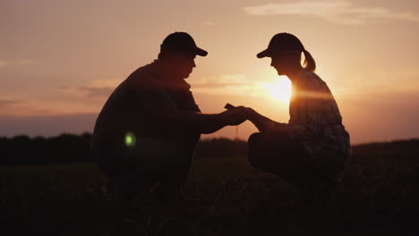Farmers-Work-In-The-Field-Until-Late-Silhouettes-Of-Man-And-Woman-Farmers-4K-Video