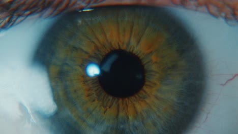 primer plano de un ojo humano