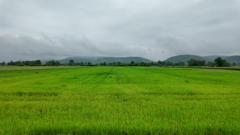 Lush-May-Fields-with-Hills-in-the-Distance