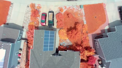 una mirada hacia abajo en un patio trasero con tecnología de infrarrojo cercano o ndvi muestra detalles de la salud de las plantas