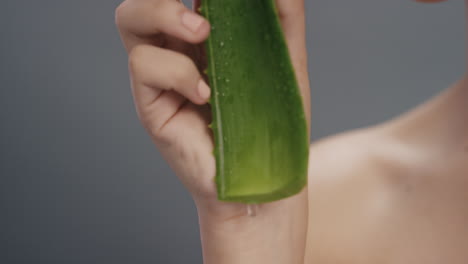 close up portrait beautiful young woman holding aloe vera dripping water enjoying fresh natural essence playful female smiling on grey background skincare concept