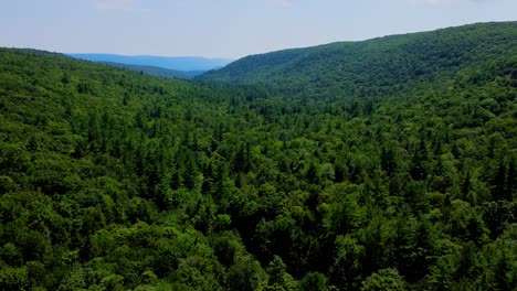 Aerial-view-of-forest-in-the-Catskill-Mountains,-Hudson-Valley,-in-Appalachian-Mountains-during-summer