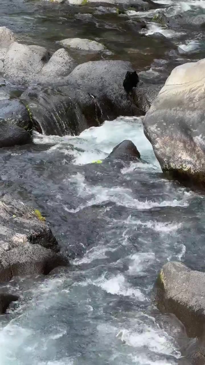 Ruscello di montagna limpido che scorre su rocce levigate