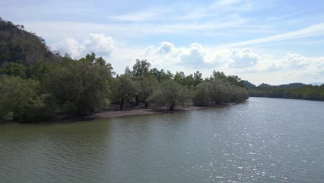 Mangroven-Fluss-Ansicht-üppiges-Grün-Bewölkter-Himmel