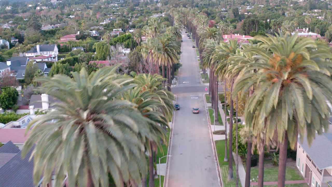 Volando lungo la strada deserta di Beverly Hills circondata da alte palme.