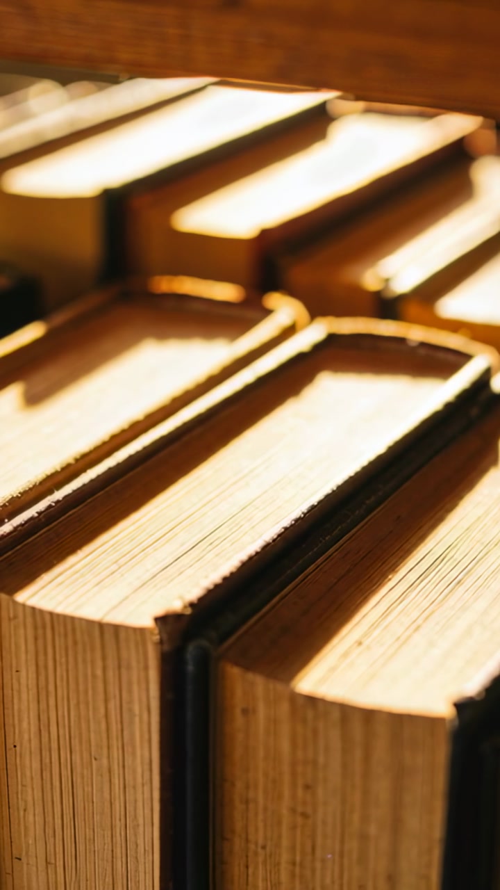 Vertical video: Panning camera revealing hardback books on shelf, sunlight highlighting texture