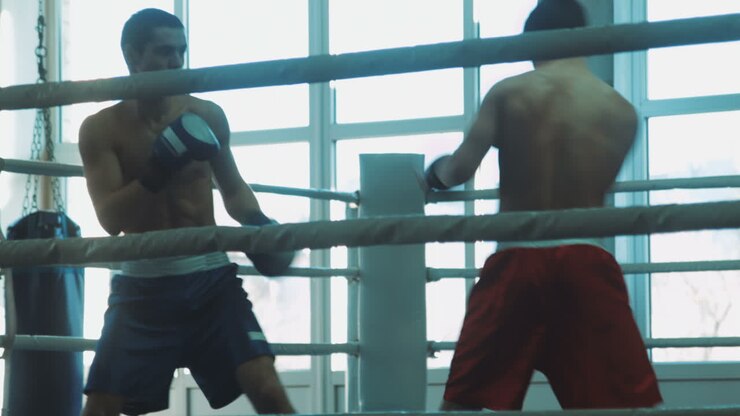 Boxers training in the ring