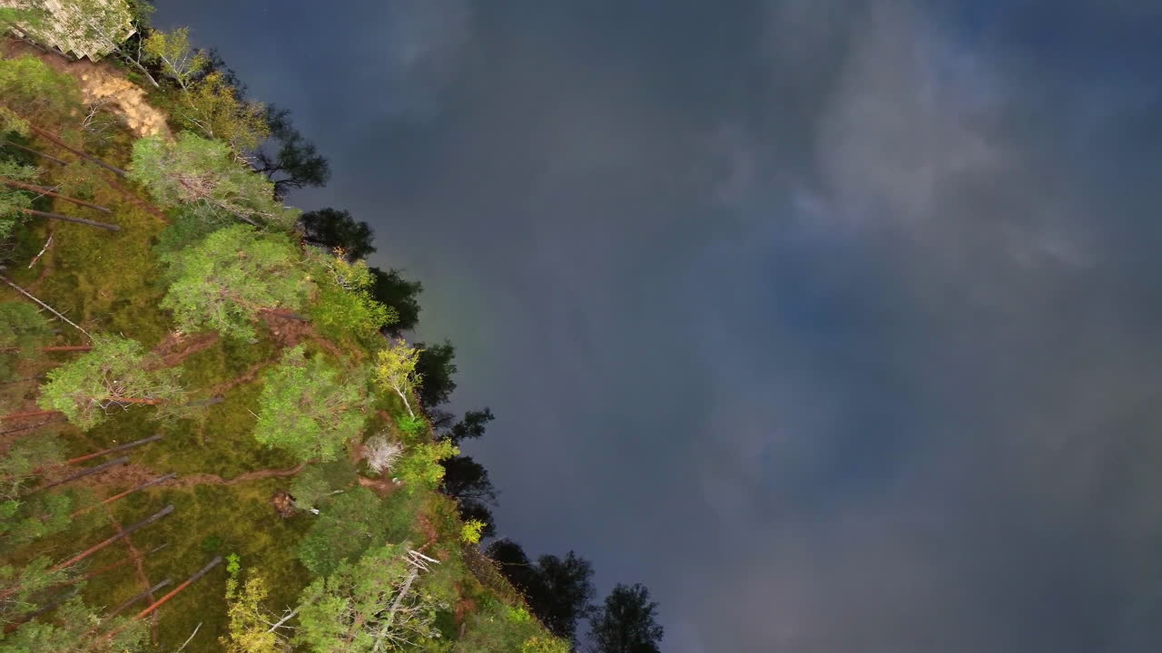 Aerial View of a Calm Lake Surrounded by Lush Forest