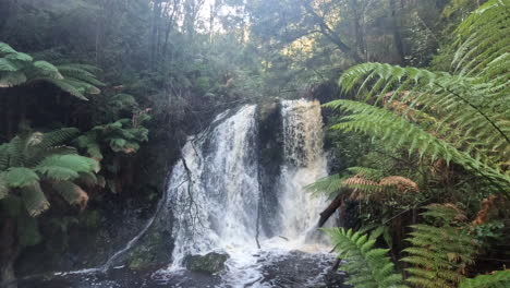 hogarth fall in strahan on the west coast of tasmania, australia