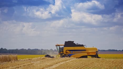 Side view of modern machine in the field. Agricultural machinery during seasonal works in summer. Yellow combine on the golden field.