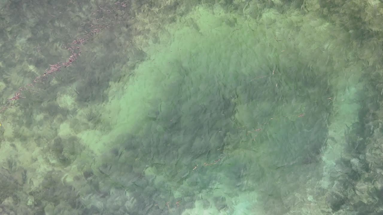 Scatto aereo dall'alto di acqua tropicale turchese e cristallina sopra barriere coralline e rocce sottomarine.
