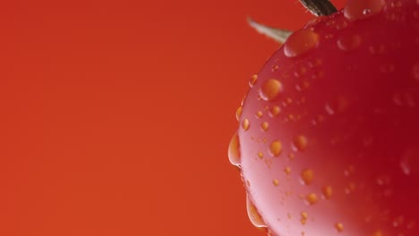 closeup of a wet tomato