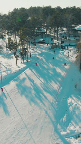 beautiful mountain slope with ski track in tree shadows at modern winter resort at pine wood aerial panorama