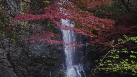 Red-Maples-in-Autumn-at-Mino-o-Waterfall,-Osaka-Japan