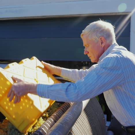 the winemaker works in a winery with a large press for pressing grapes