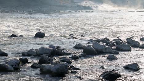 River-rapids-in-the-morning-in-Zagreb