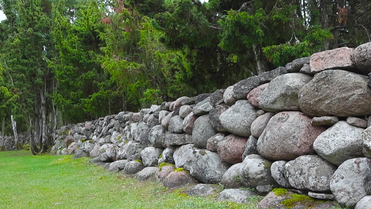 Muro in pietra tradizionale a Saaremaa, Estonia, in estate, con abeti e pini sullo sfondo e erba verde corta in primo piano. Rocce grigie coperte di muschio e dalla superficie ruvida.
