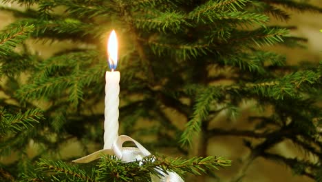 En-Navidad,-Se-Encienden-Velas-Blancas-En-Las-Ramas-Del-árbol-De-Navidad