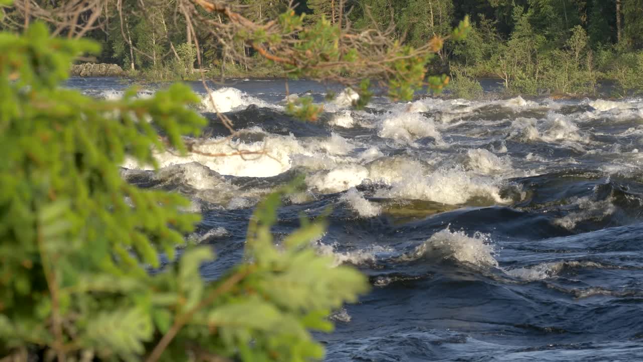 Fiume scandinavo selvaggio che scorre impetuoso in 4K