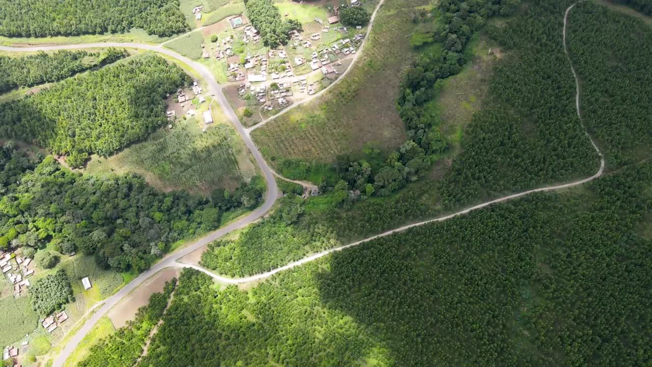 bosque natural con múltiples caminos que pasan por el bosque verde de kenia laderas del monte kilimanjaro