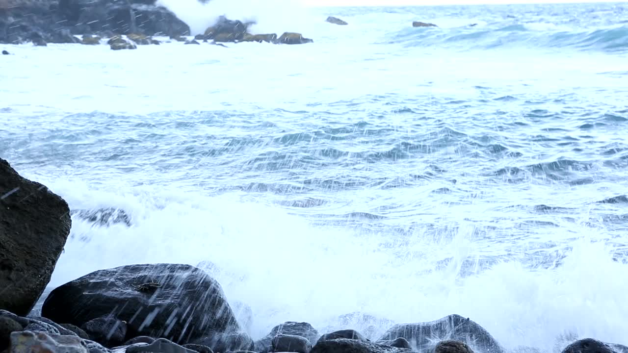 게와 끝없는 바다