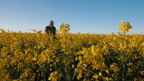 landwirt auf einem rapsfeld