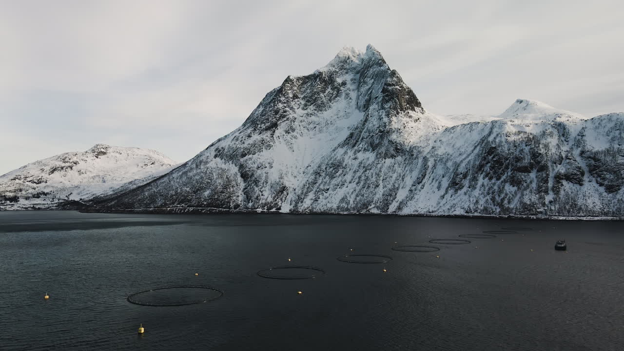 Piscicultura de Salmão, Fiorde perto de Fjordbotn, Ilha Senja, Troms, Noruega — imagem aérea de drone.