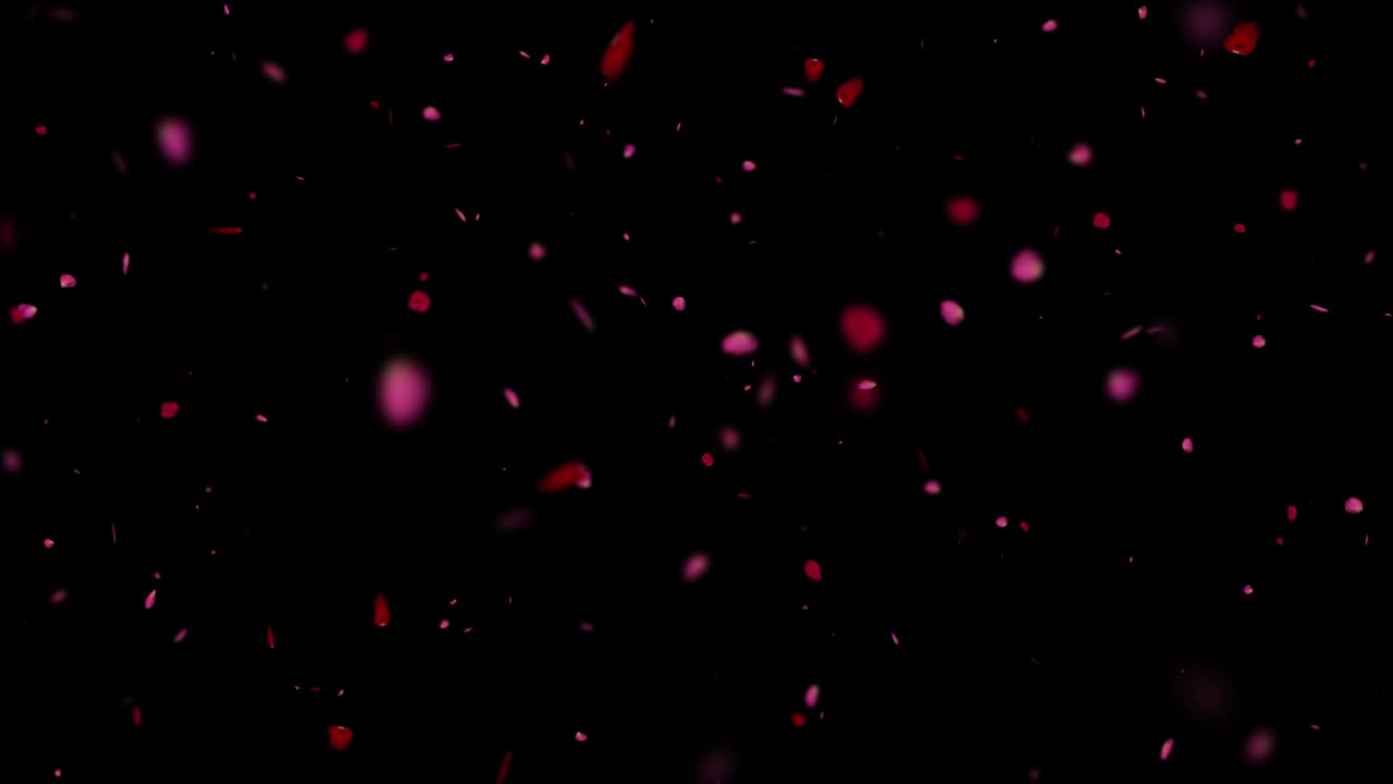 장미 꽃잎은 검은색과 녹색 화면에 루프 애니메이션