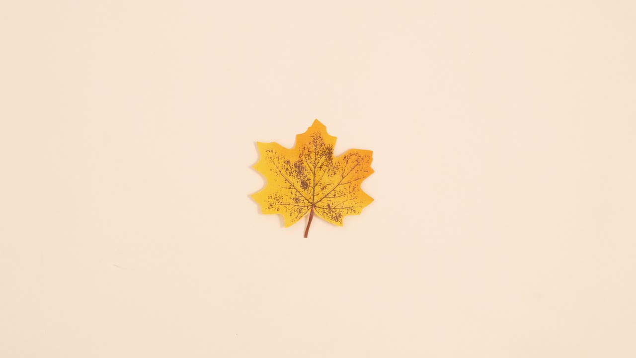 Hand put one yellow leaf on beige background. Stop motion autumn concept