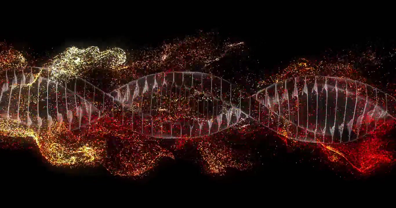Animazione di una doppia elica di DNA su particelle luminose su sfondo scuro.