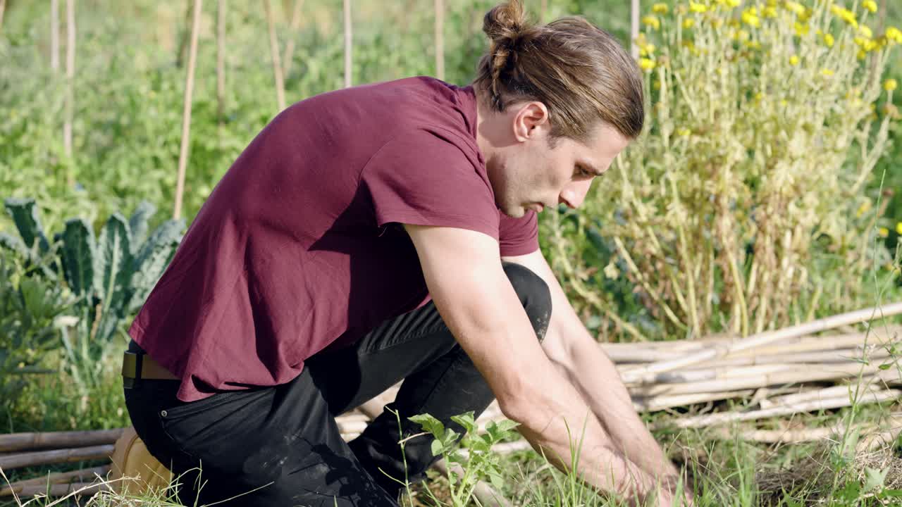 Young farmer working and weeding in a vegetable garden