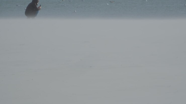 Rack Focus Of White Sand Beach With Sea Birds And People Relaxing
