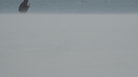 Rack-Fokus-Des-Weißen-Sandstrandes-Mit-Seevögeln-Und-Entspannenden-Menschen