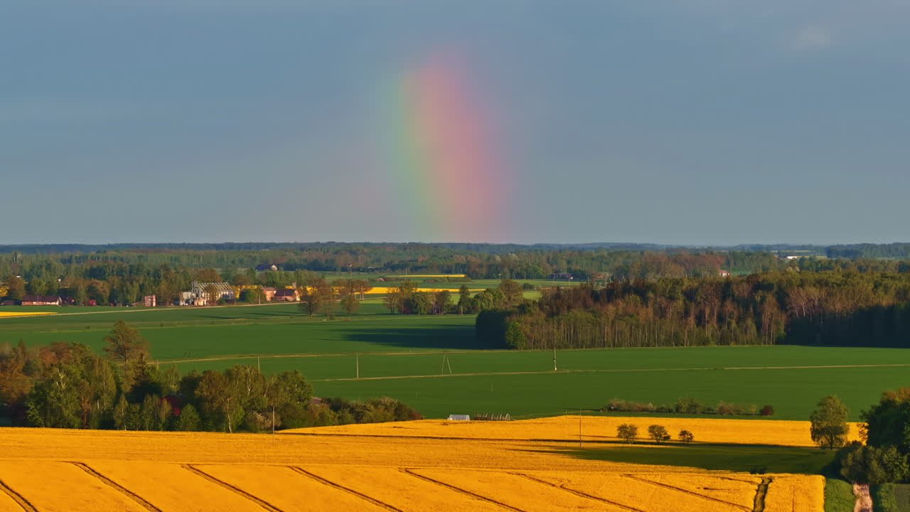 A vibrant rainbow begins over a sunny landscape filled with yellow and green fields.