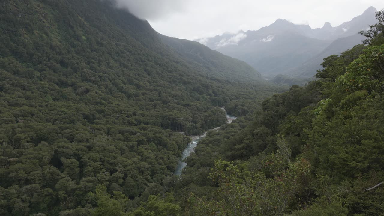 río que corre por un valle entre bosques y montañas en fiordland, nueva zelanda
