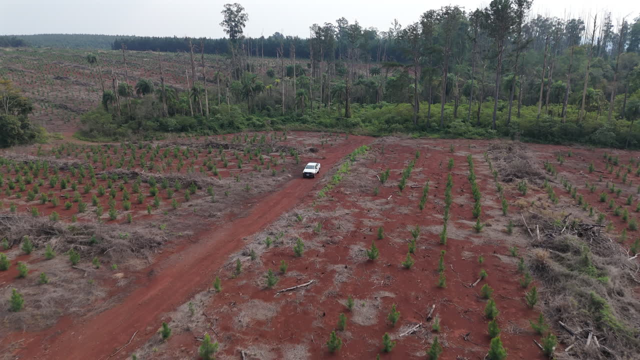 A car travels through a deforested landscape, environmental impact and human activity, pullback reveals reforestation efforts