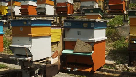 reveal shot of colourful bulgarian beehive on apiculture farm on hillside